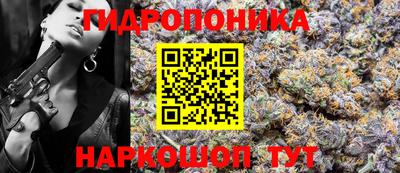 СК Гатчина