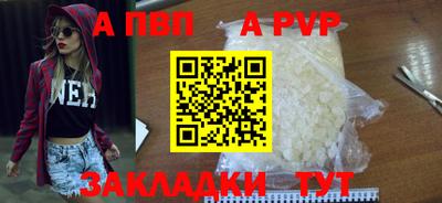СК Гатчина