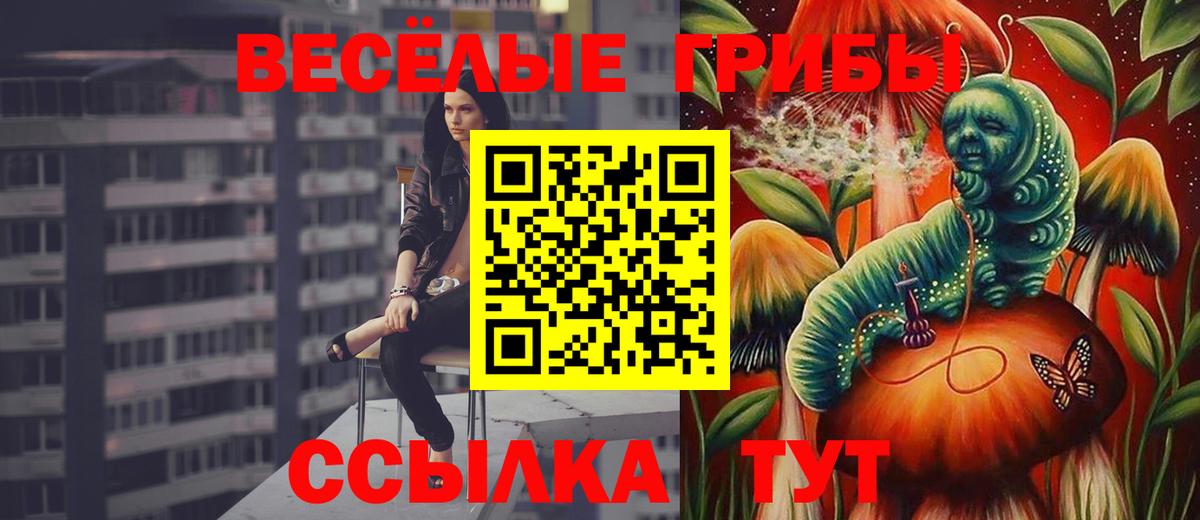 Псилоцибиновые грибы MAGIC MUSHROOMS  Вход с VPN  Галлюциногенные грибы прущие грибы  Новошахтинск 