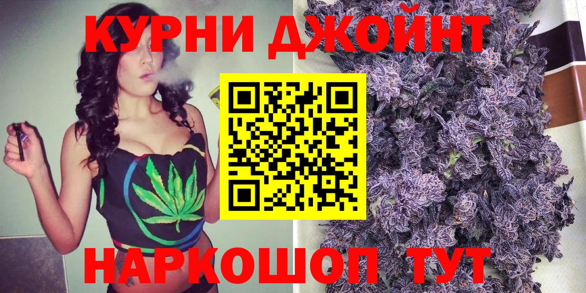 Канабис планчик Новошахтинск